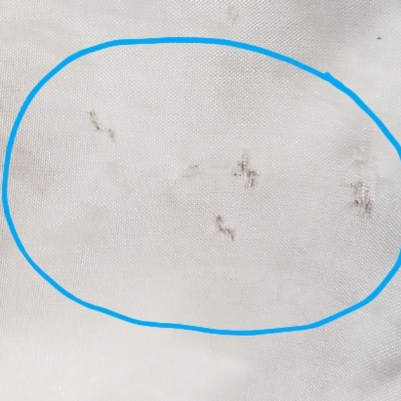 Coco and Chase/Nordstrom Swing Jacket - Picture 8 of 8